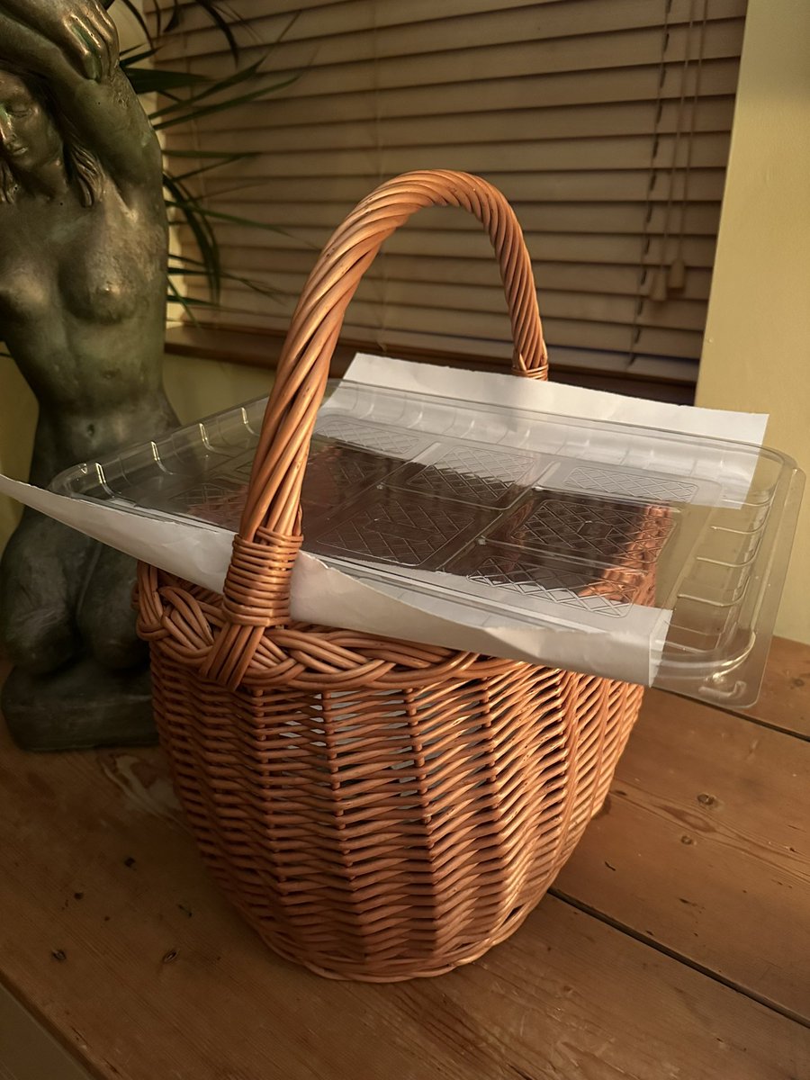 It’s ok. I caught the bird and have safely stored it like the genius I always knew I was. Also, tits.