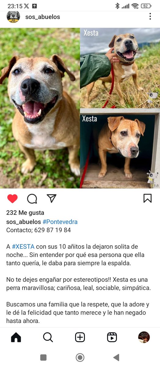 paqui_repa's tweet image. 🫶🫶
#SosAdoption 
#AdoptaNoCompres