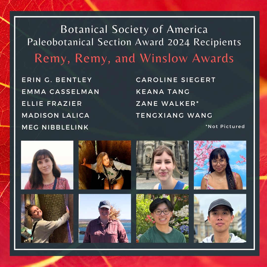 Botanical Society of America tweet media