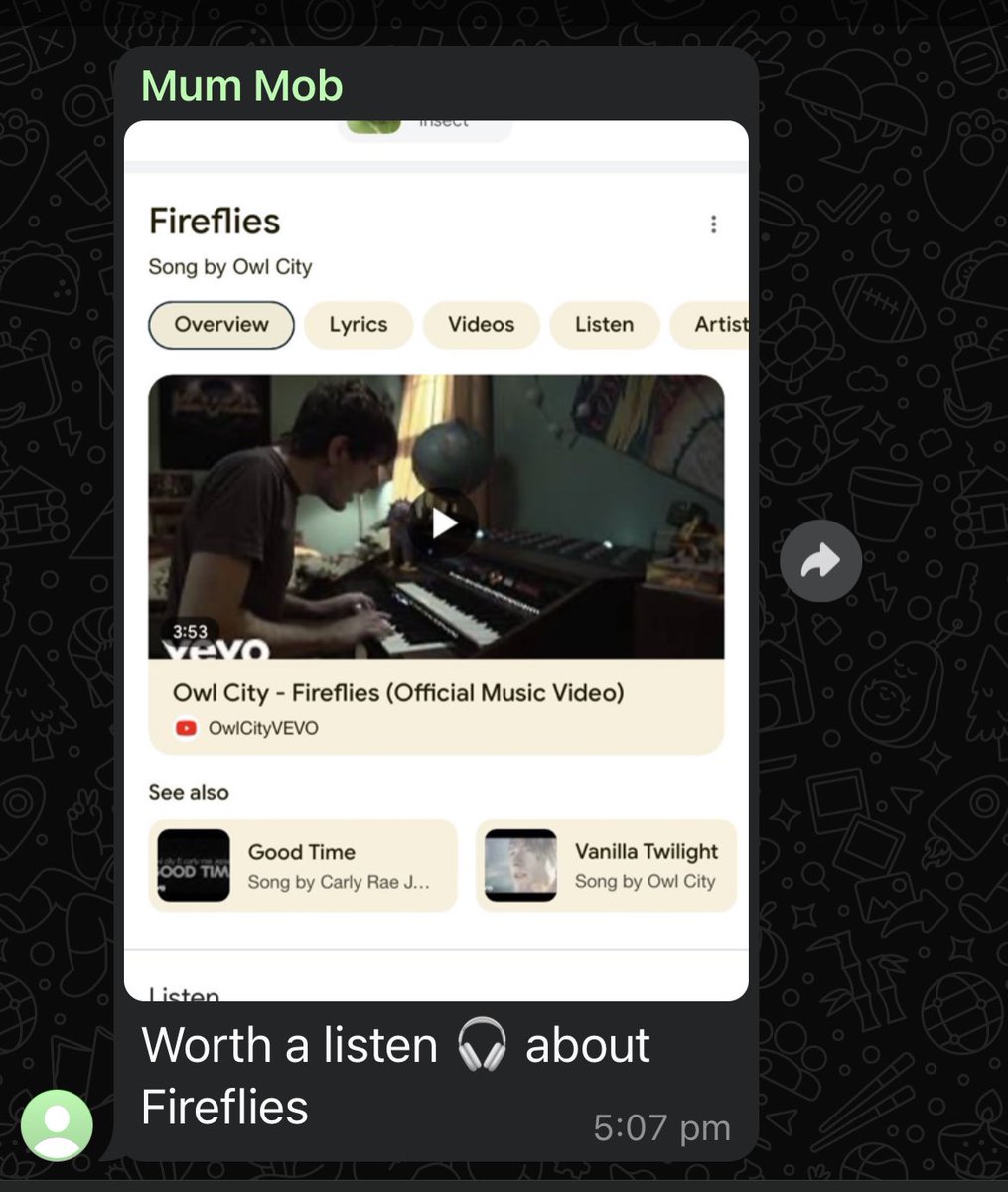 THuggz's tweet image. told my mum i saw some fireflies last night and she hits me with this