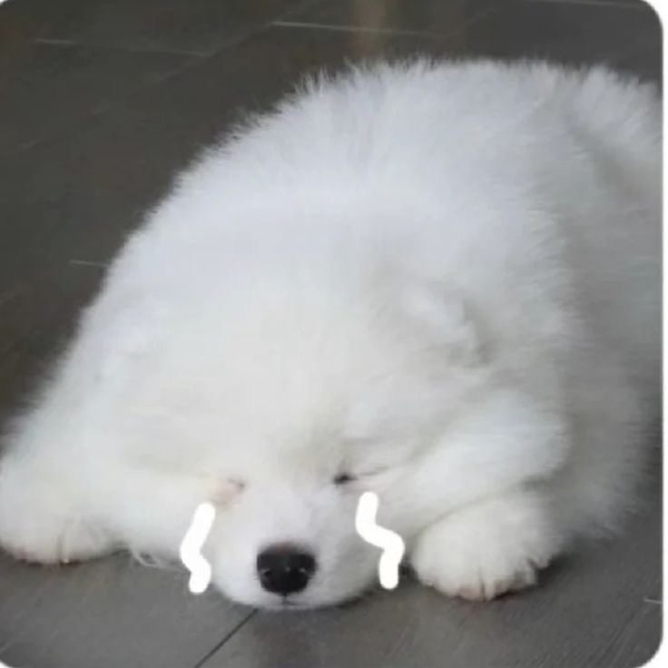 chet_tyu's tweet photo. @ThankU_TYU ใจร้ายเกินไปแล้ว https://t.co/2LANXXYcsE