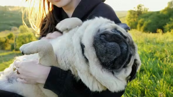 < Caiatl                 Calus >