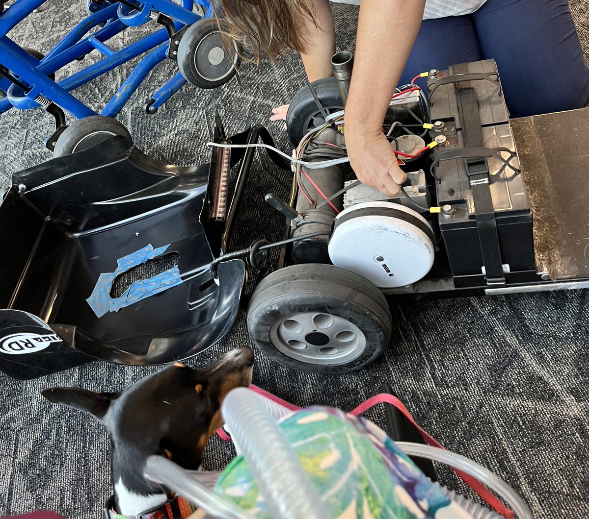 CaroleZoom tweet media