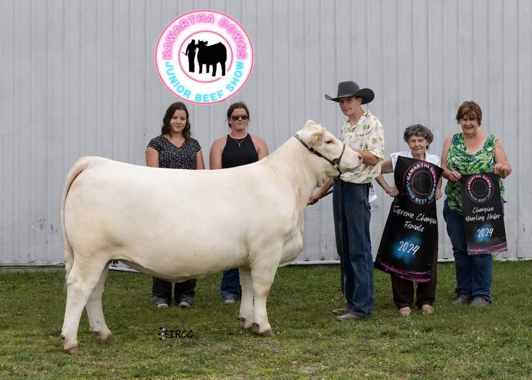 Congratulations to Tyler Burgomaster and all involved on their Supreme Champion Female win this weekend at the inaugural Kawartha Downs Junior Show with Miss Prairie Cove 320L (SVY Trust 6H)

pc: Juanita Elmhirst