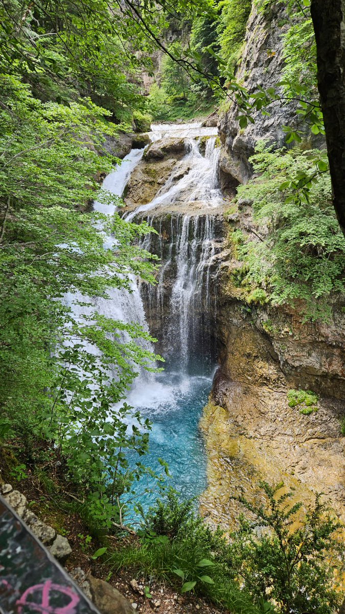 Simone Kramer C-MONE tweet media