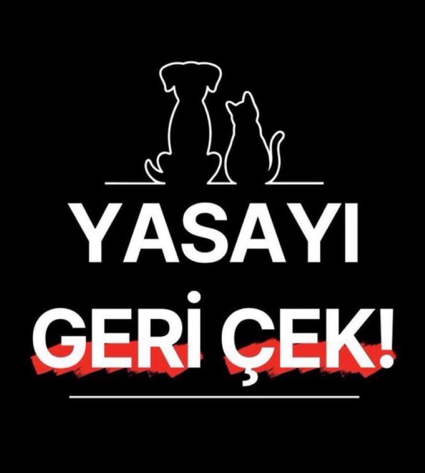 Serkan Uzun (@n_eversaynever1) on Twitter photo 