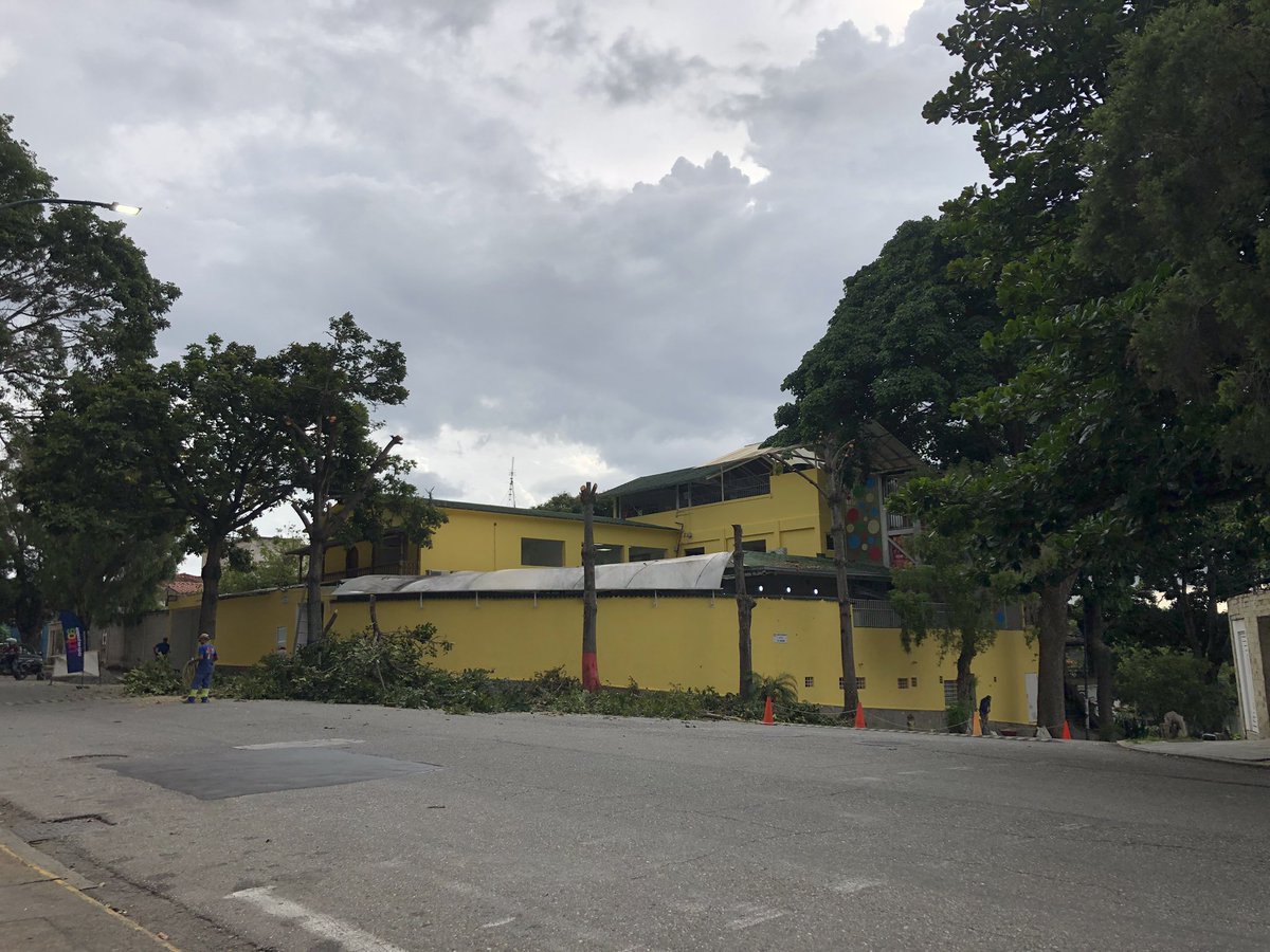 ConexionMaestra's tweet photo. 5 árboles menos en Santa Mónica. Es un preescolar, ya no pueden cantar el himno al árbol @YramaCapote @gesanpedro @PlantadosCCS https://t.co/eb1Xa9qNuM