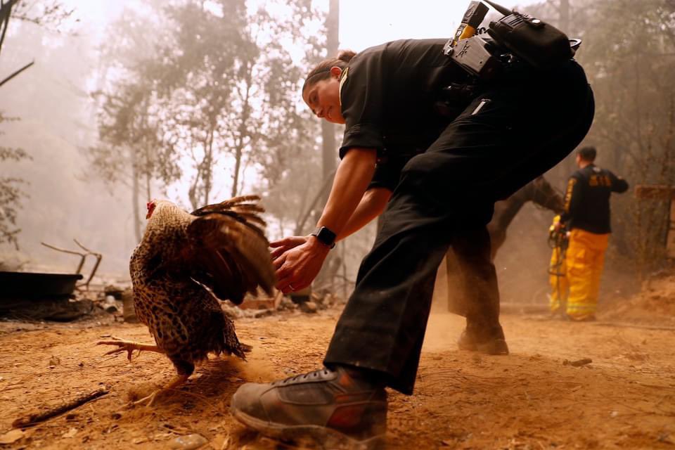 Scott Strazzante tweet media