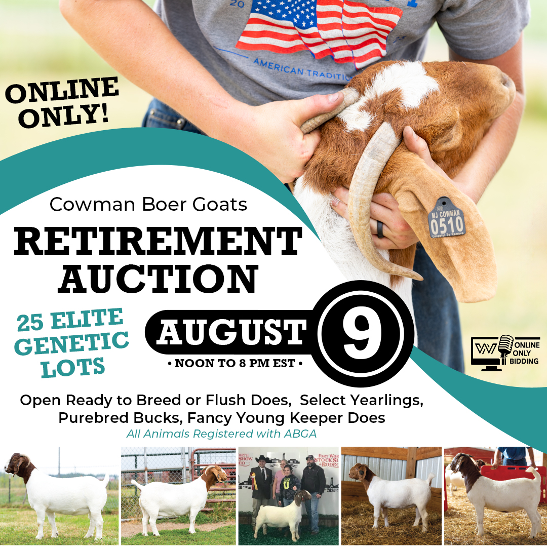 wendtk's tweet image. 