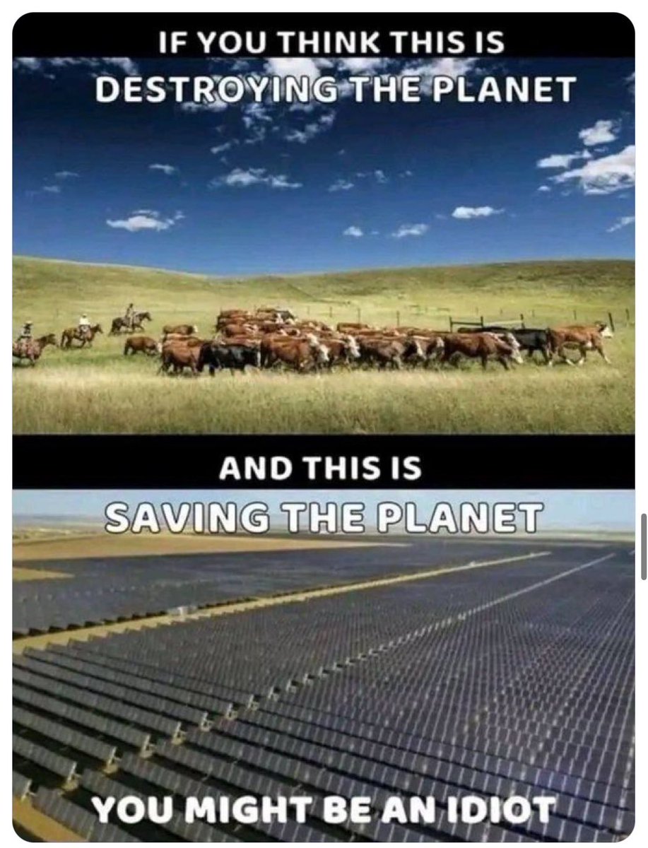 Richard Tice MP 🇬🇧 tweet media