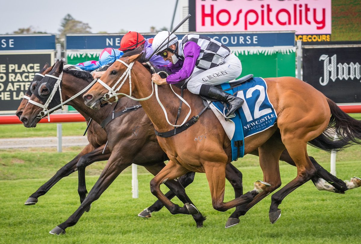 RACING TODAY AT NEWCASTLE!
Weather: Fine 
Track: Soft 5
Rail: +6m entire
First Race Jumps: 12.20pm. 
Race Fields Here: racing.racingnsw.com.au/FreeFields/Acc…