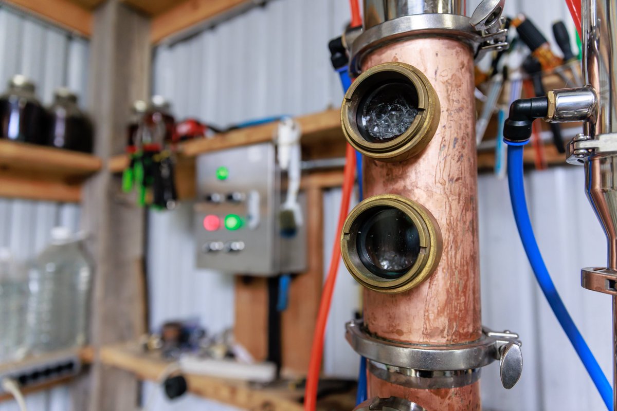 Shannon The Dude tweet media