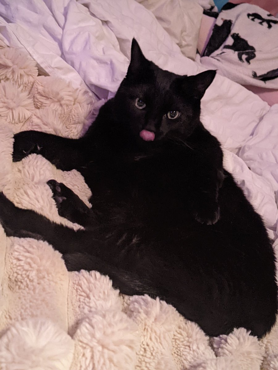 Kiki caught in silly action 😛