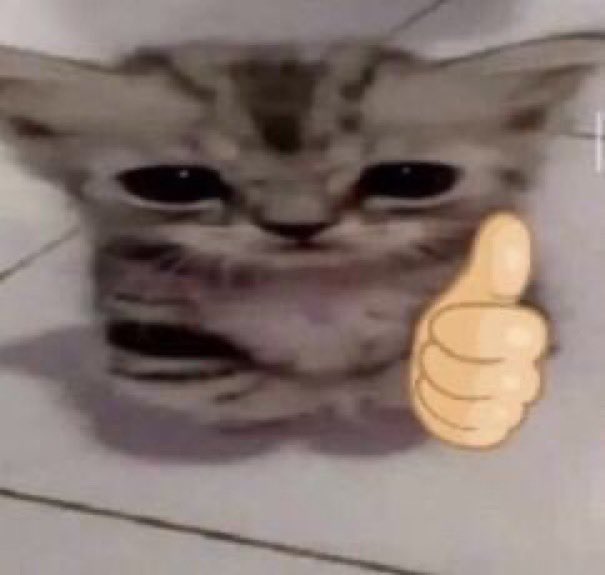 catpetduck's tweet photo. https://t.co/5ZxZlsoaSt