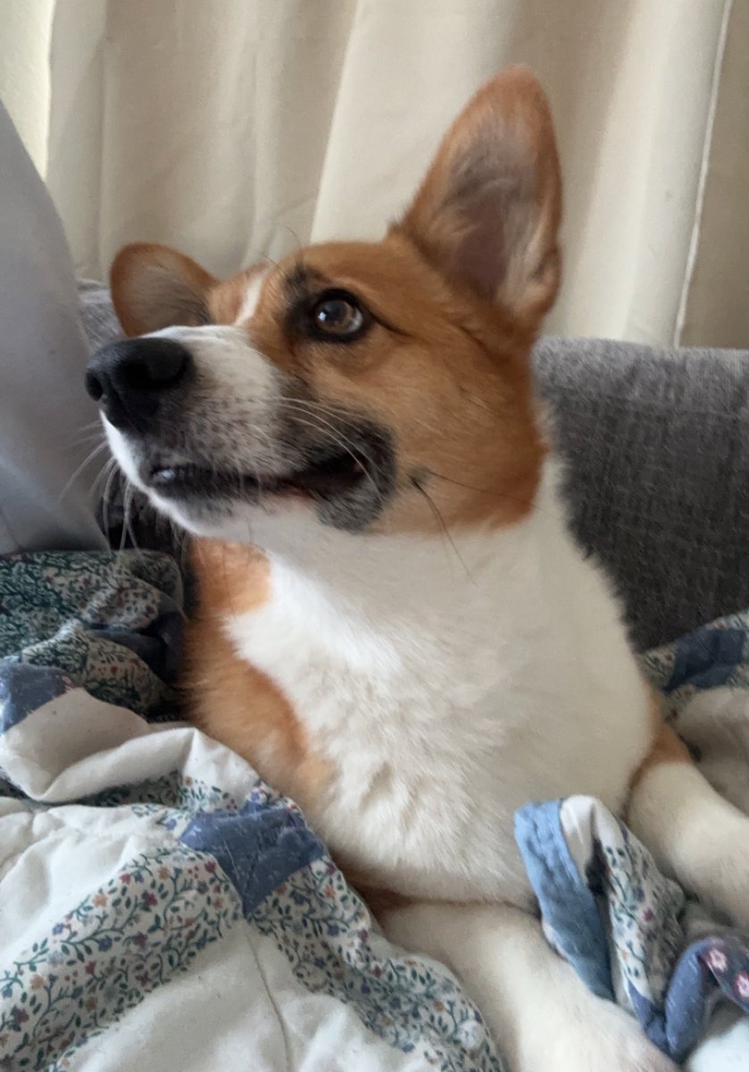 Sarah Singer tweet media