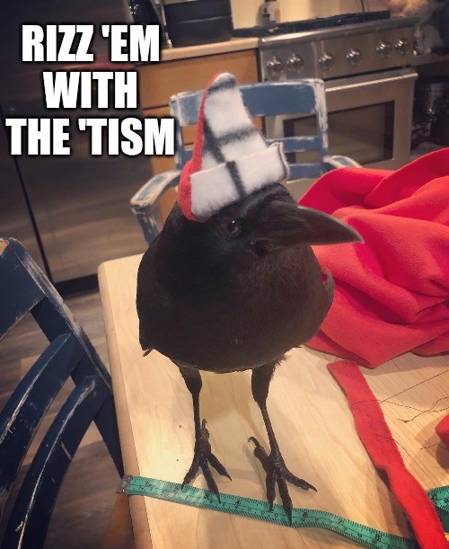 DailyCorvids's tweet photo. Rizz 'em with the 'tism https://t.co/kEcmk1TmiK