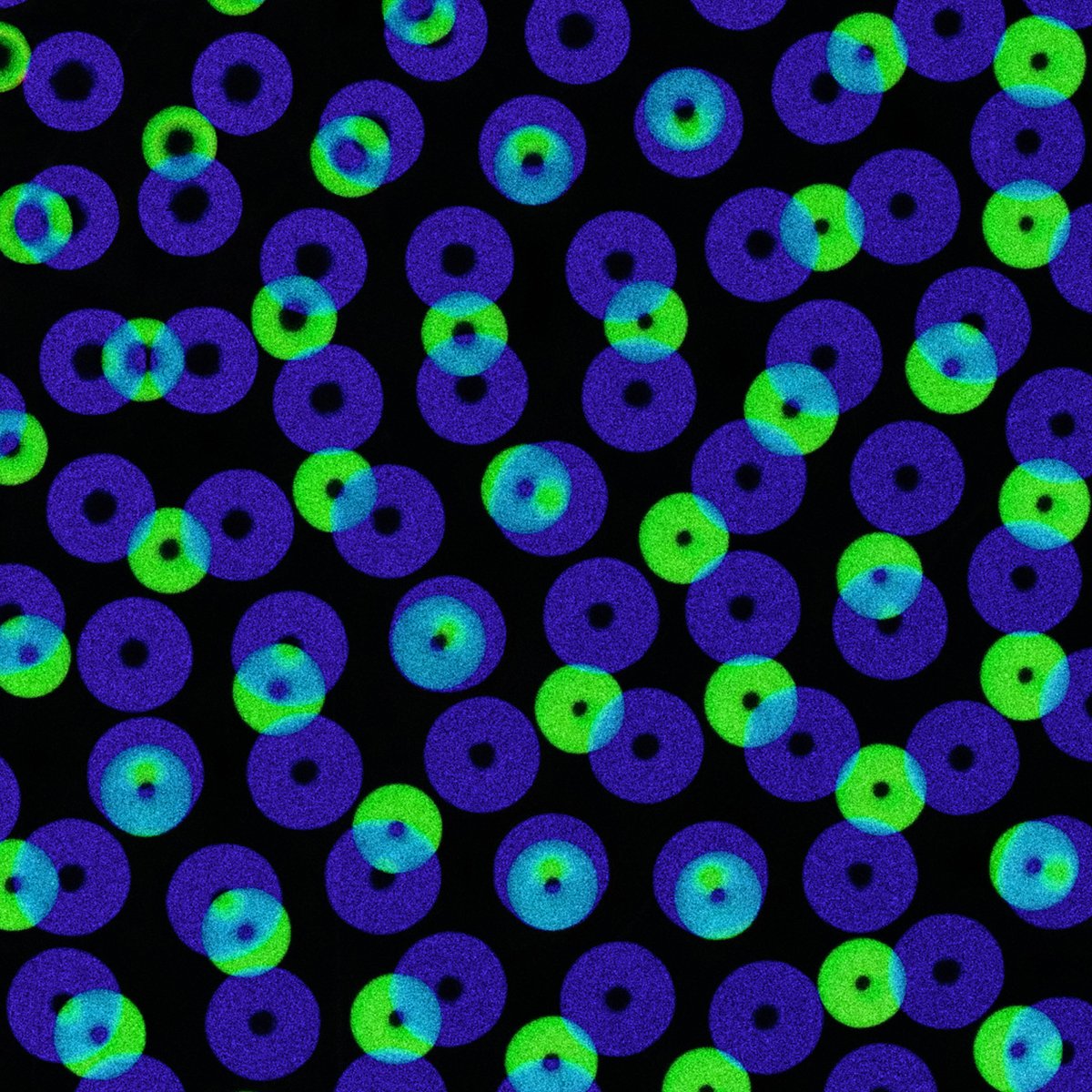 Simon Bronson tweet media