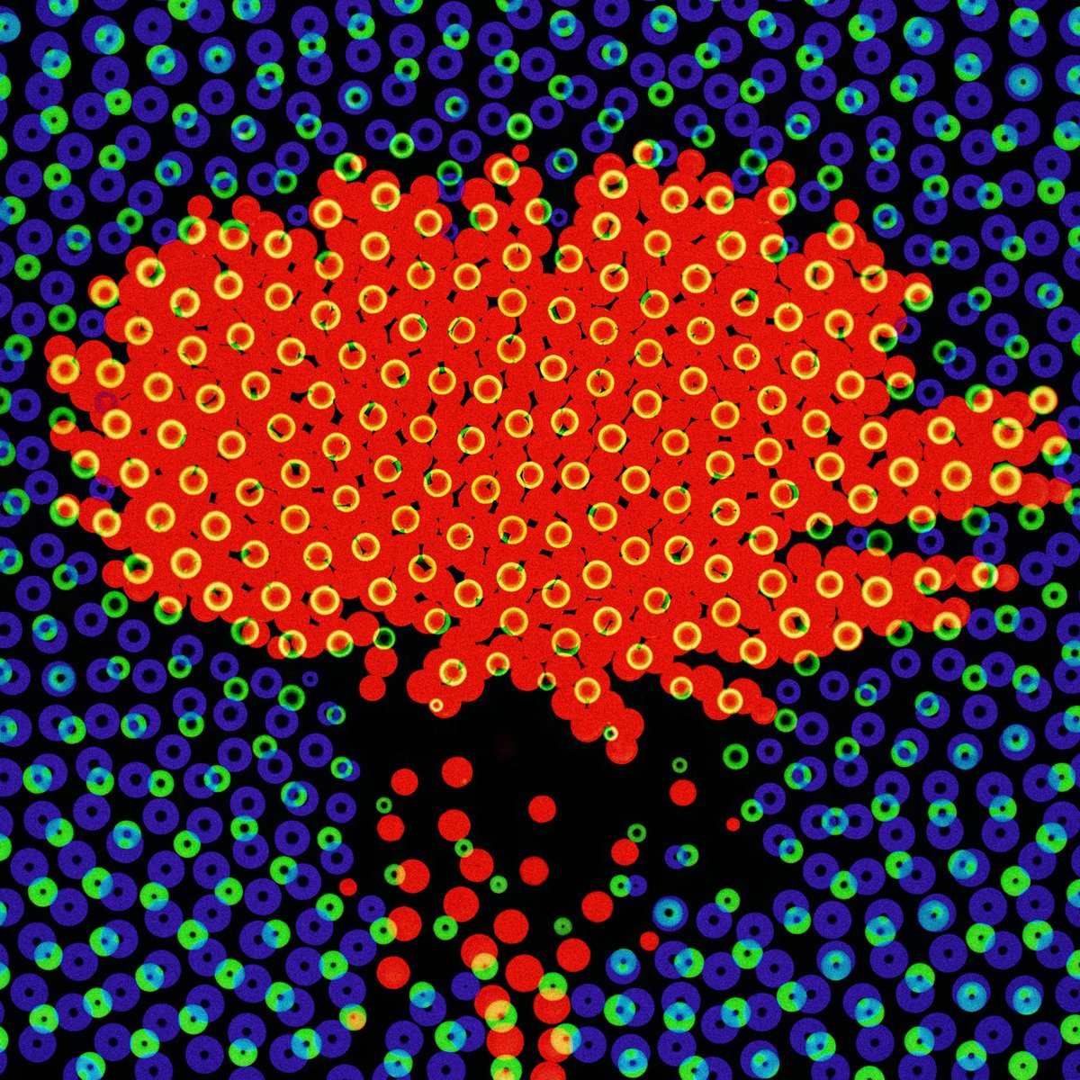 Simon Bronson tweet media