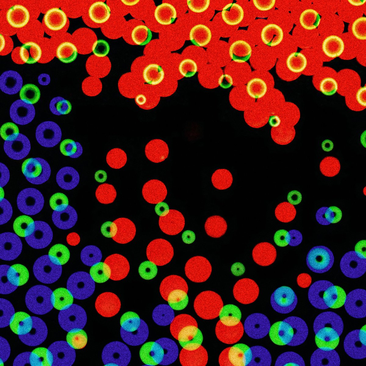 Simon Bronson tweet media