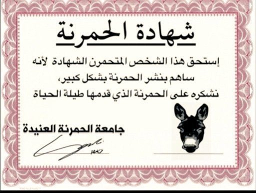 IssamKabaj's tweet photo. @AbdelhichamyA @BelfkihHC https://t.co/2DaPCIL1lP