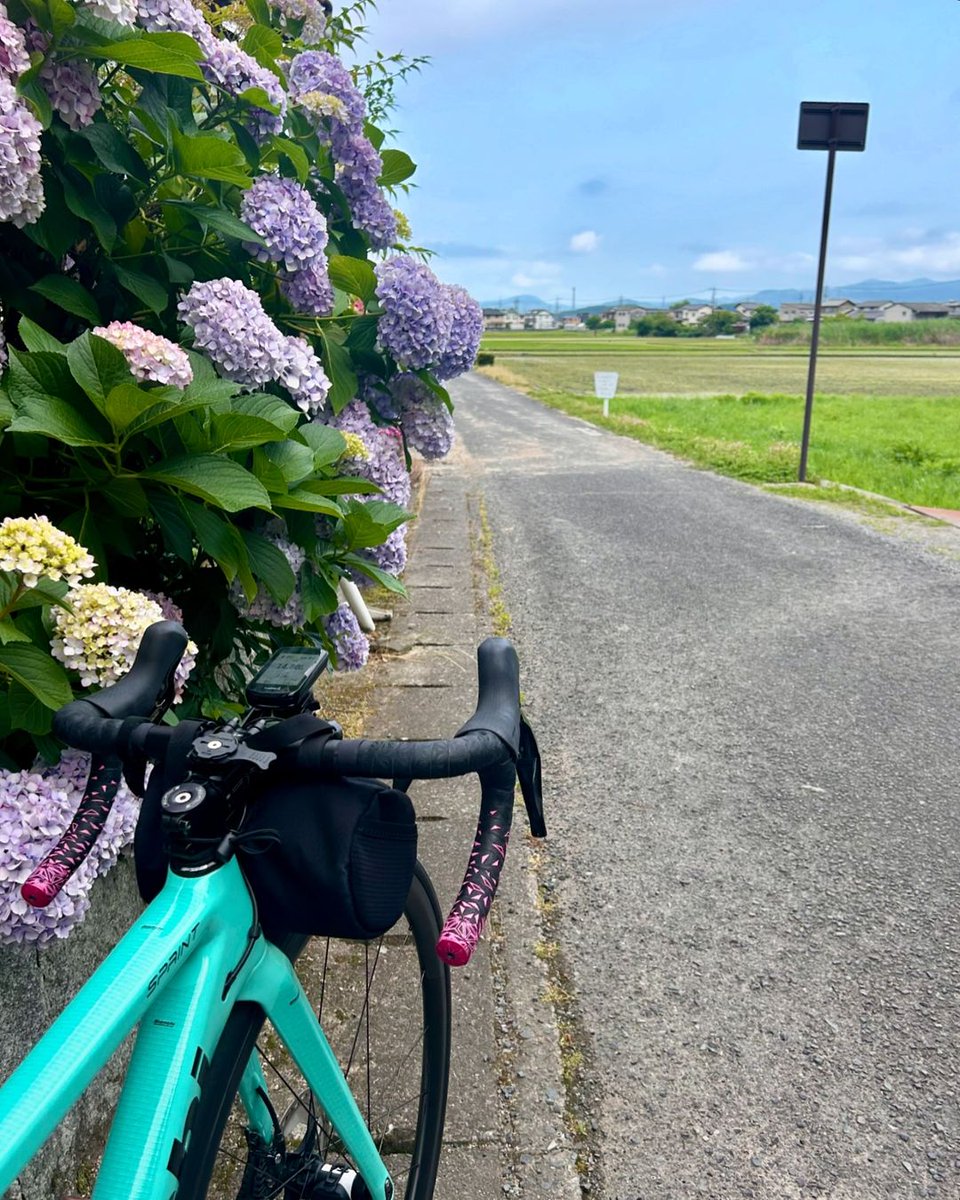wsldxx88's tweet photo. 入院していた自転車が帰ってきた😆🙌
�
自転車は延命治療��てもらえたので
こまめに点検しながら乗れるように🥹🫶

#ハレいろサイクリング
#ハレいろサイクリングokayama
#サイクリング#パンライド
#自転車のある風景
#ロードバイクのある風景 https://t.co/NHcA4Q29YT