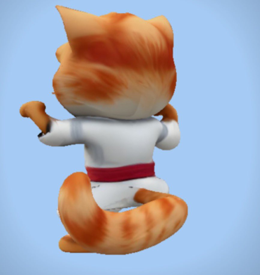 Karate_Cats's tweet photo. https://t.co/VcQMbdpLGg