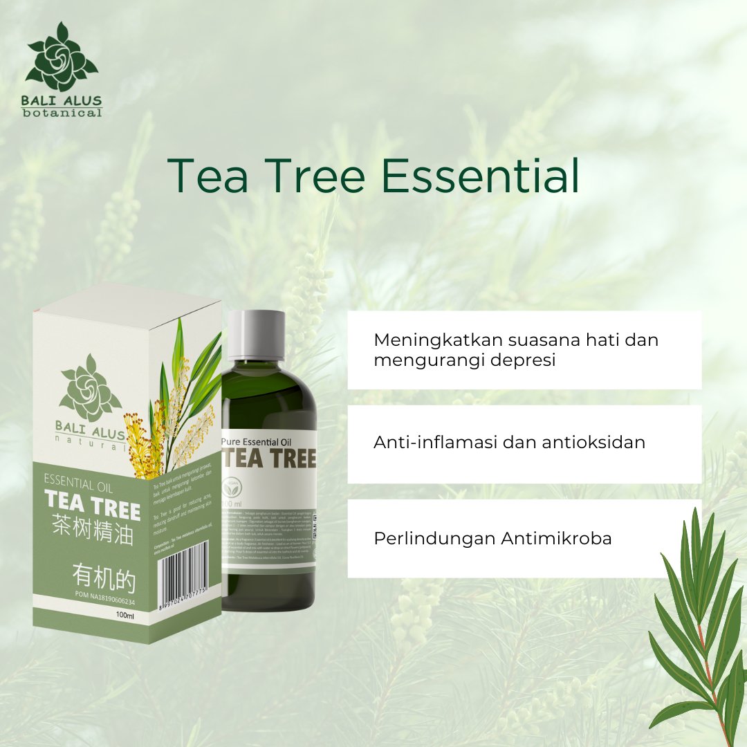 balialus_spa's tweet photo. Struggling with acne? Bali Alus Tea Tree Essential Oil is here to save the day!

Reduce inflammation and help clear up your skin
#essentialoil #spa #viral #news #trend https://t.co/apIJ5OmM0M