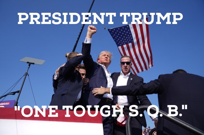 willeminx's tweet photo. @TeamsterSOB #Trump2024 https://t.co/V729bXa6bL
