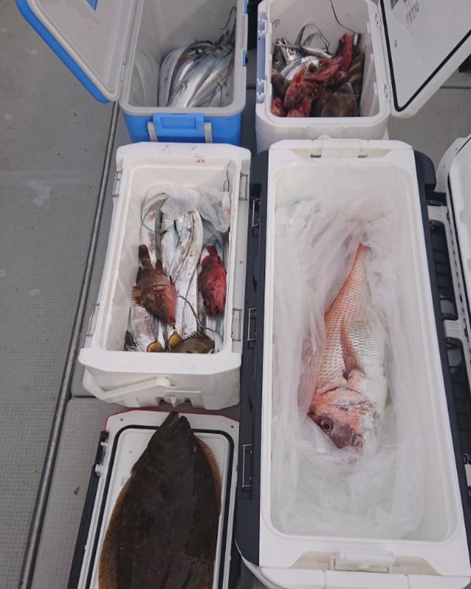 Trlytre's tweet photo. 私も好きよね

#天草釣り  #鯛 #タイラバ #太刀魚 #太刀魚釣り #アラカブ #キジハタ #ヒラメ #船釣り #釣り #釣り好きな人と繋がりたい #釣り女子 #釣りよかでしょう #釣りガール #ヤマガブランクス #シマノ #ビンビンスイッチ https://t.co/H7XwVHbNFx