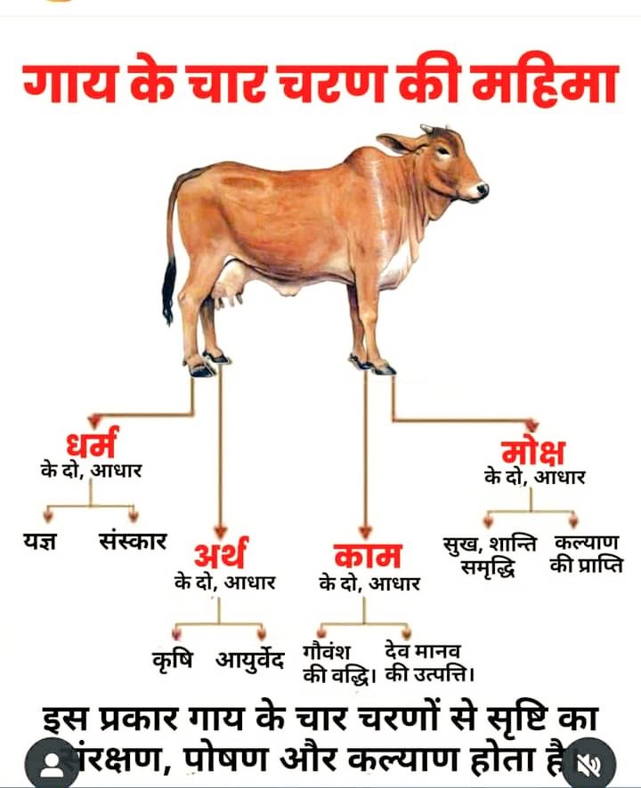 🐄🚩सनातन धर्म मे गाय को सबसे श्रेष्ठ क्यो माना जाता  महत्वा को देखे और बताए || 🙏सुप्रभात सुविचार* ||                       
 *जीना हैं, तो उस दीपक की तरह जियो जो बादशाह के महल में भी उतनी ही रोशनी देता हैं जितनी किसी गरीब की झोपड़ी में ।।*
*जो भाग्य में हैं वह भाग कर आयेगा