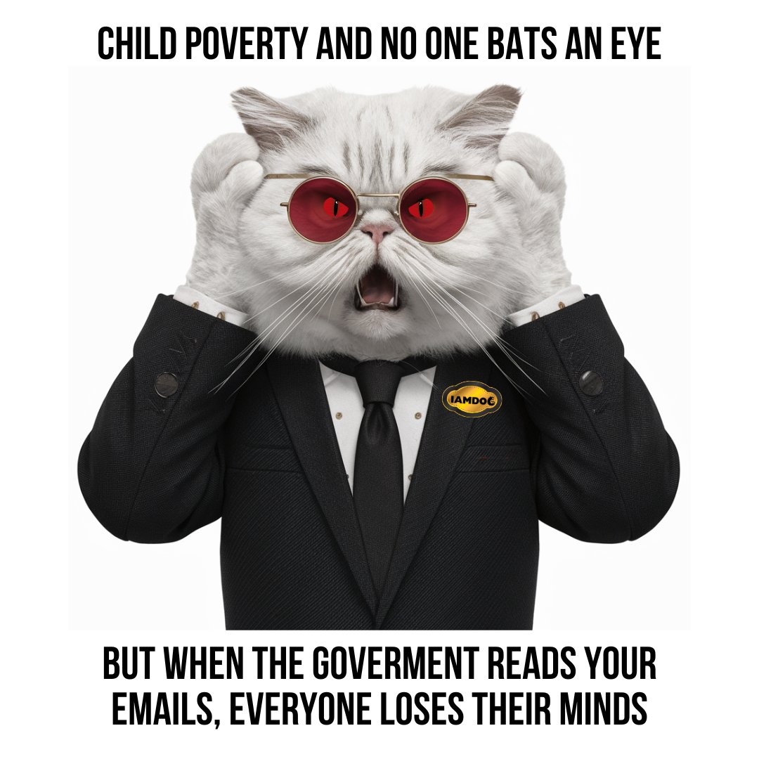 KINGMAKERLEGACY's tweet photo. Wait, child poverty is bad? But...The government might know I buy cookies! 🫣🤣
#IAMDOG #IAMConfused #IAMLogicFail #IAMPriorities #IAMIrony #IAMAwkward #IAMPrivacyConcerns #IAMMissingThePoint #IAMTechDebate #MEMETOKEN https://t.co/2ArXVMhwqD