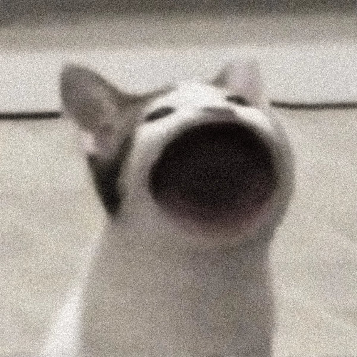 ᴄᴏʀʙʏɴ tweet media