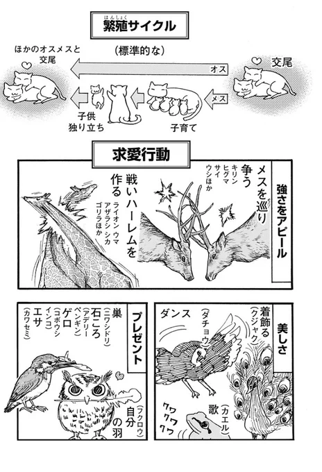 ケモノクニは今夜24時配信です✨
🔥新章開始🔥

読むと動物に詳しくなれる!!!!
#ケモノクニ
全話無料⬇️
https://t.co/iSAQ3h8P7a 