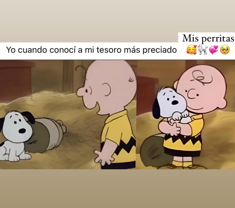 Eveyu_nena's tweet photo. Mis bebés hermosas 🐩💕🐩✨🥹 Les amaré por siempre!! 

#Amoreal #AmorInfinito #amorpuroysincero #petlovers #dog #amigofiel https://t.co/krZEHv8Ckf