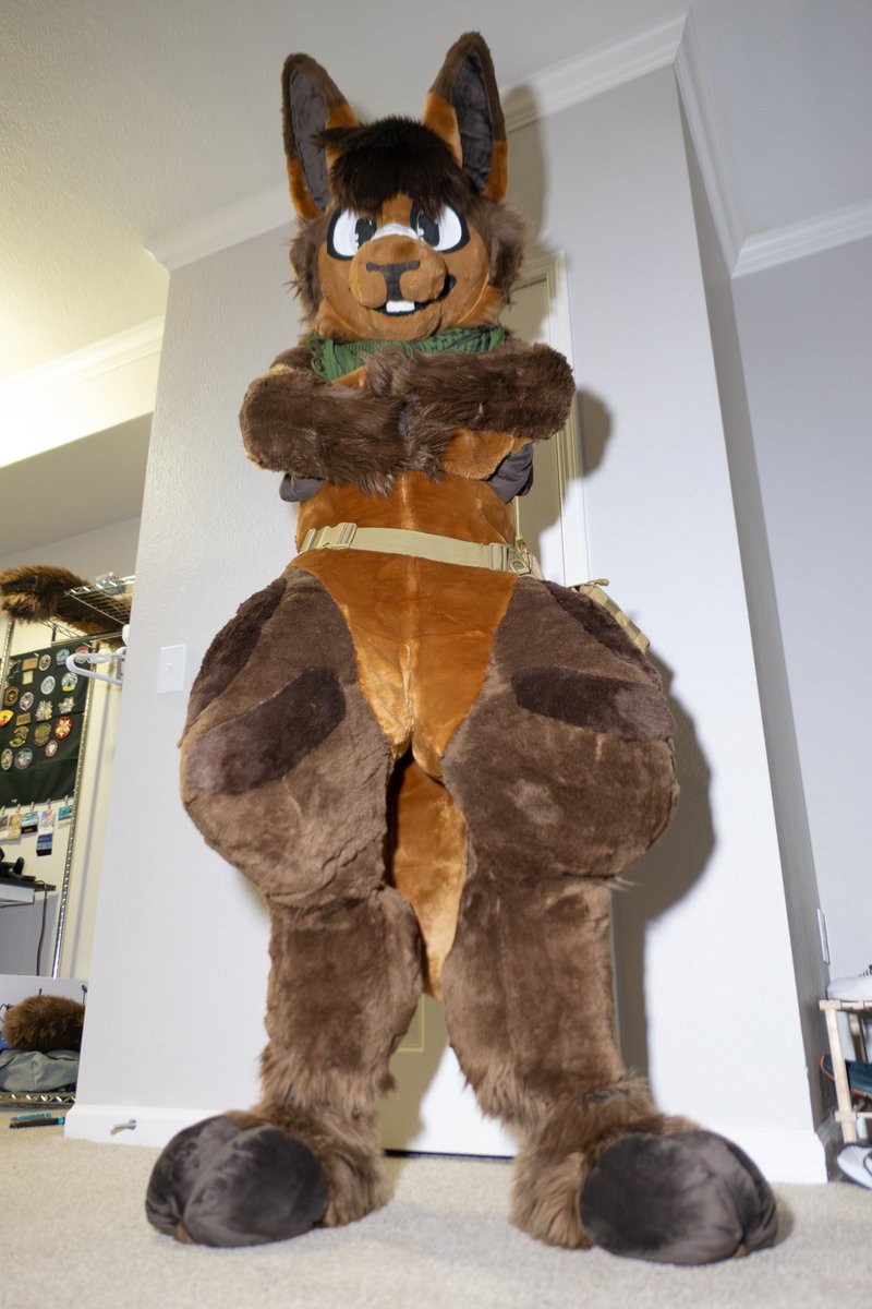 Zuruzukiin's tweet photo. Fullsuit alert!

Body by @PurpleBappsky 
Everything else @SleepiStudios 
📸 @ThatOneTuxmew https://t.co/LWfvMZPH1w