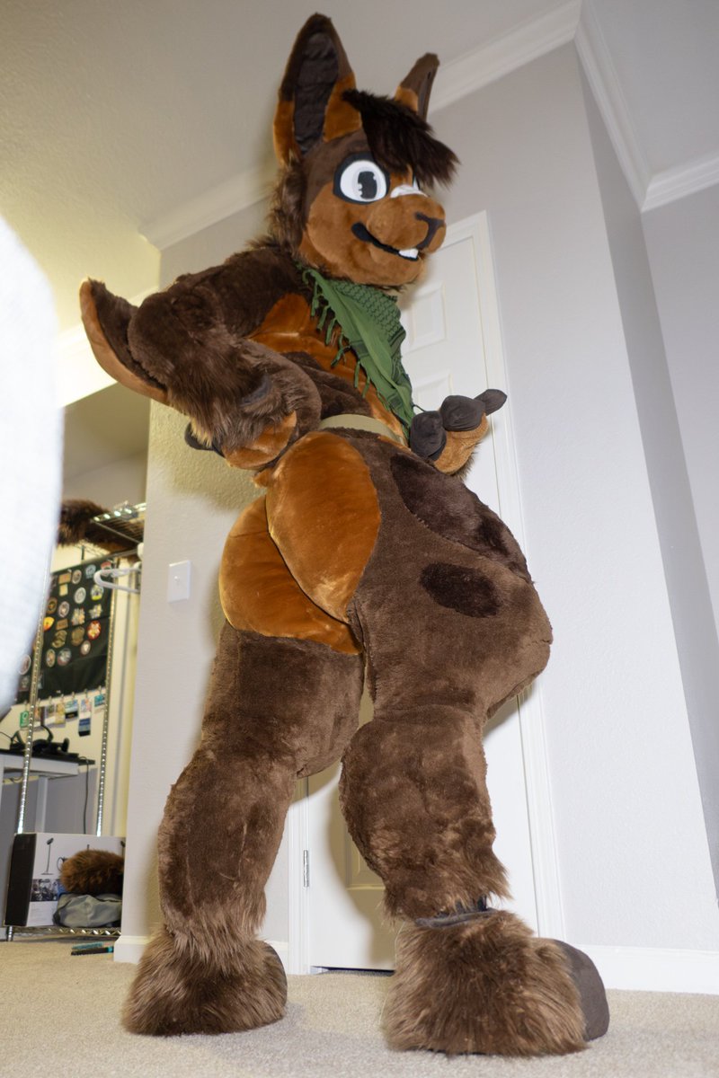 Zuruzukiin's tweet photo. Fullsuit alert!

Body by @PurpleBappsky 
Everything else @SleepiStudios 
📸 @ThatOneTuxmew https://t.co/LWfvMZPH1w