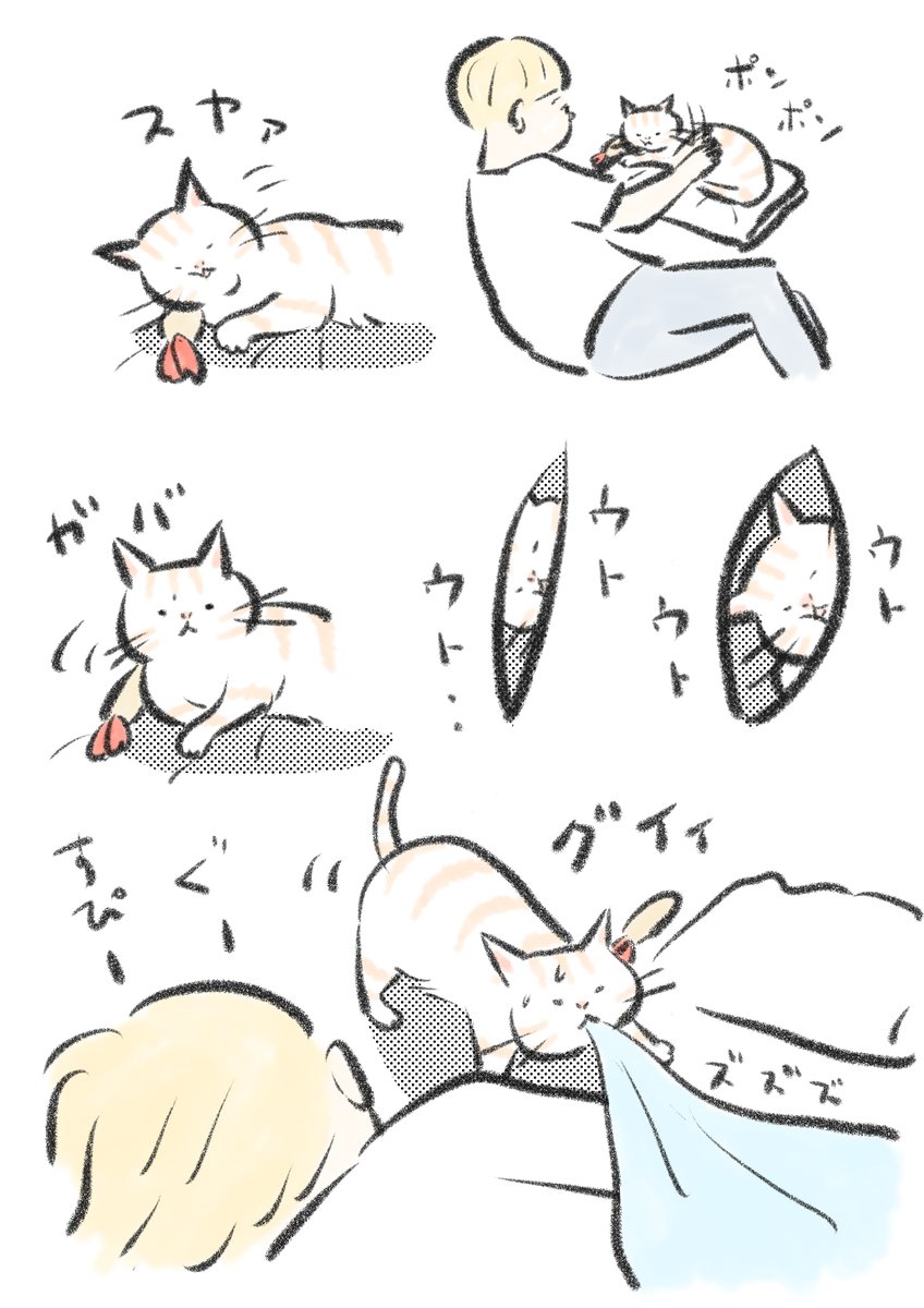 猫を寝かしつけてる時、猫もまたこちらを寝かしつけている。 