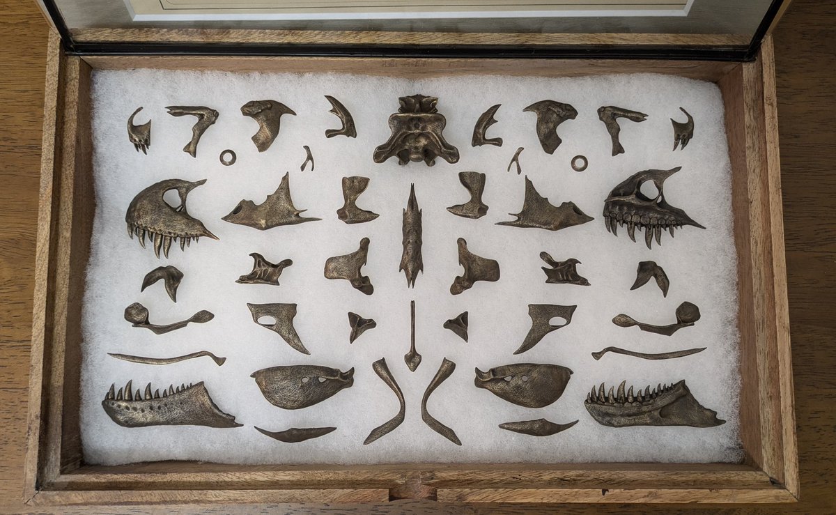 新作完成しました！ 「金属製ティラノサウルス頭骨展開」 頭骨パーツ43