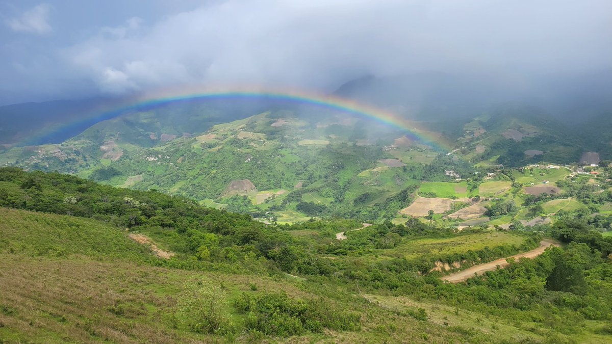 Cubiro Estado Lara 🌄 tweet media