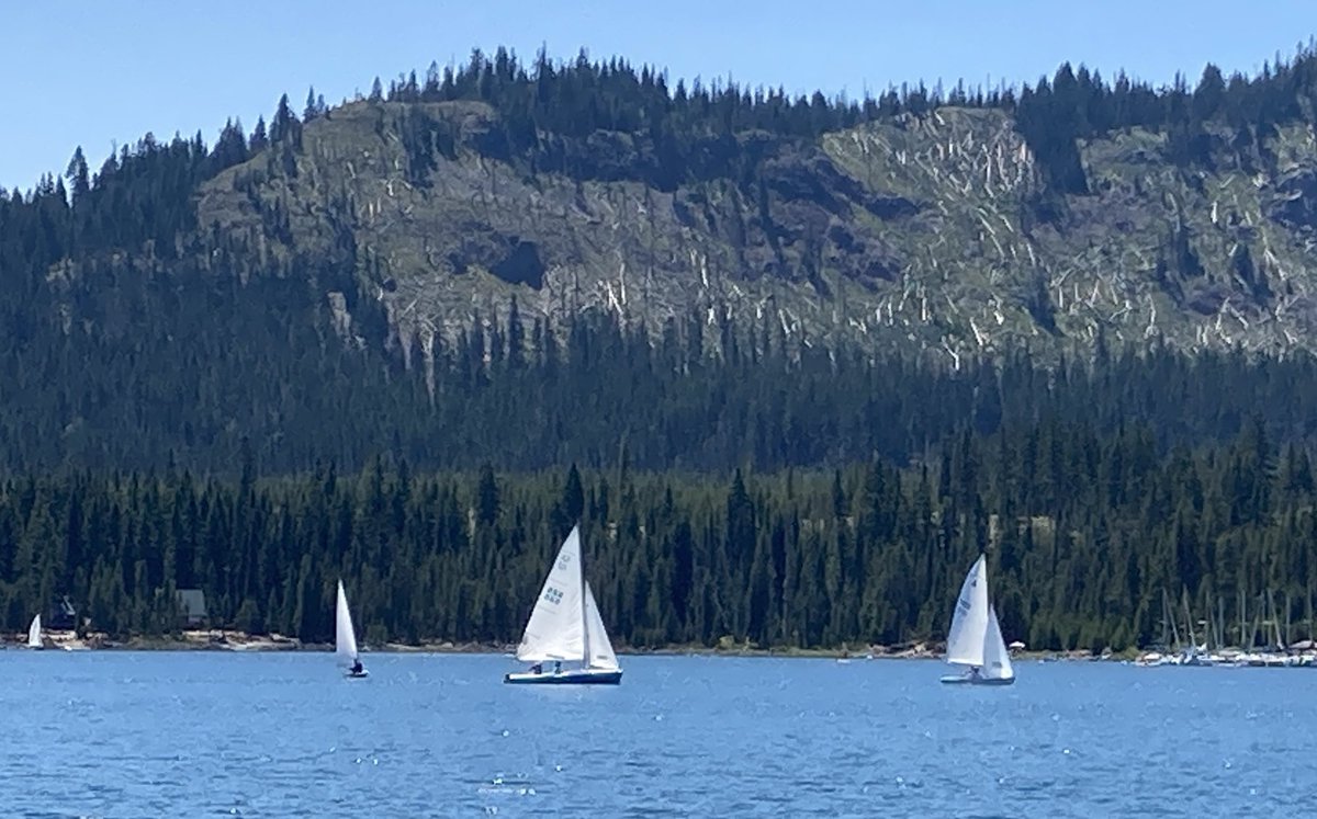 Matt Hobson tweet media