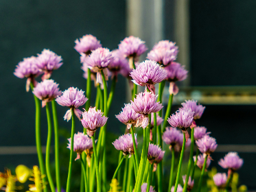 Fitch Max tweet media