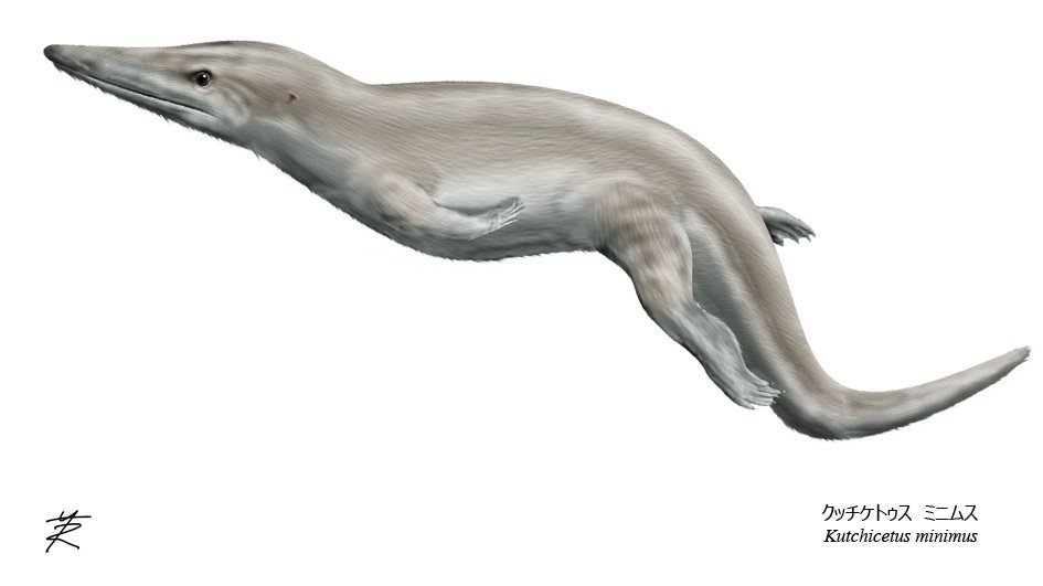 水族ドットコム on X