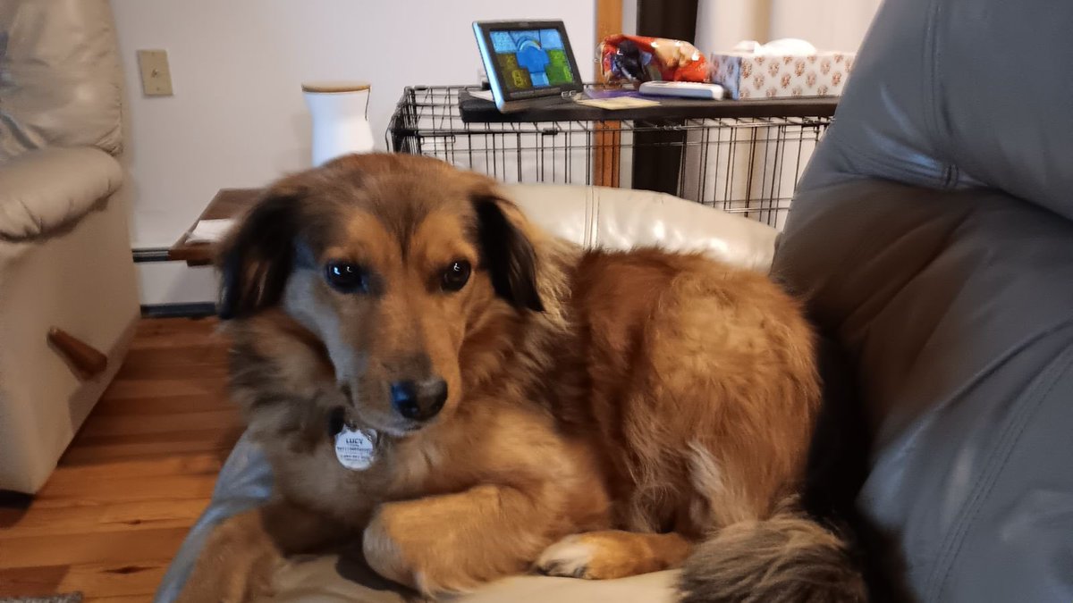 Jim Enborg tweet media