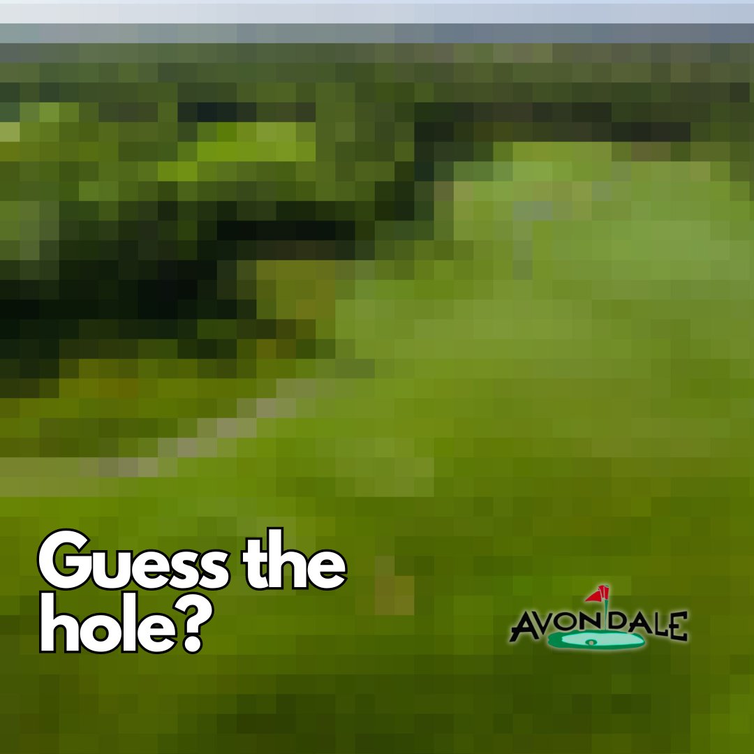 Avondale Golf Course tweet media