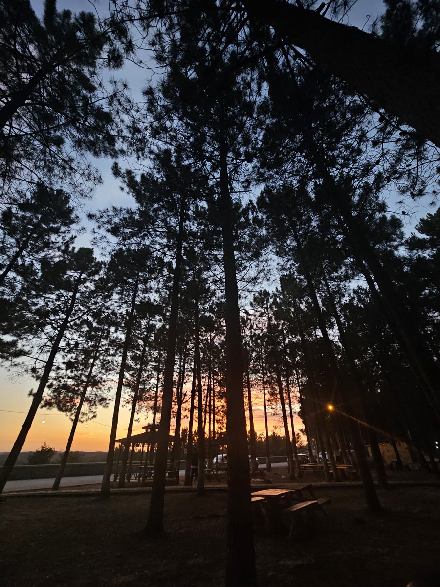 saatlerce burada oturmaya ihtiyacım var