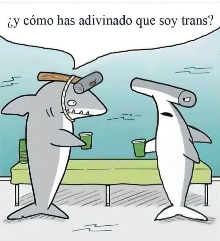 🤣🤣🤣🤣🤣🤣🤣🤣