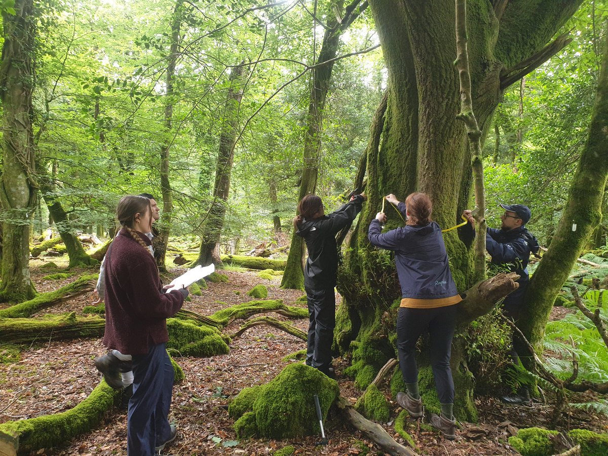MEMBRA_Trees (@membra_trees) on Twitter photo Great work by the fieldwork team last weekend collecting leaf samples and resurveying the forest inventory plots in one of our Dartmor sites this weekend!
<a href="/bergaminrs/">Rodrigo Bergamin</a> <a href="/RachelMailes/">Rachel Mailes</a>
Next on to the MEMBRA conference in Exeter tomorrow! Great work by the fieldwork team last weekend collecting leaf samples and resurveying the forest inventory plots in one of our Dartmor sites this weekend!
<a href="/bergaminrs/">Rodrigo Bergamin</a> <a href="/RachelMailes/">Rachel Mailes</a>
Next on to the MEMBRA conference in Exeter tomorrow!