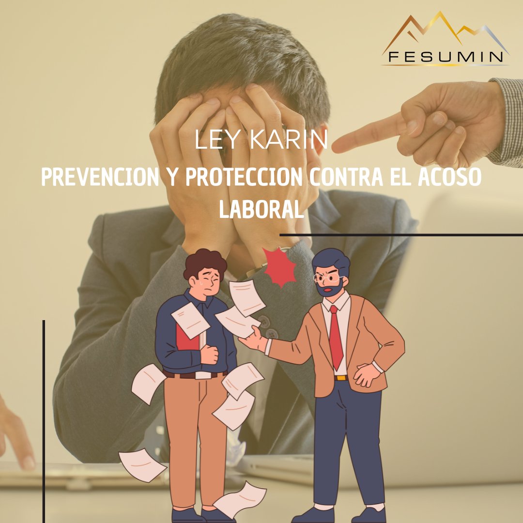 FESUMINchile's tweet photo. INFOGRAFÍA: Ley Karin, Prevención y protección contra el acoso laboral. 
La infografía completa en --> https://t.co/PmSB7zeB6j https://t.co/txbRRCBhp3