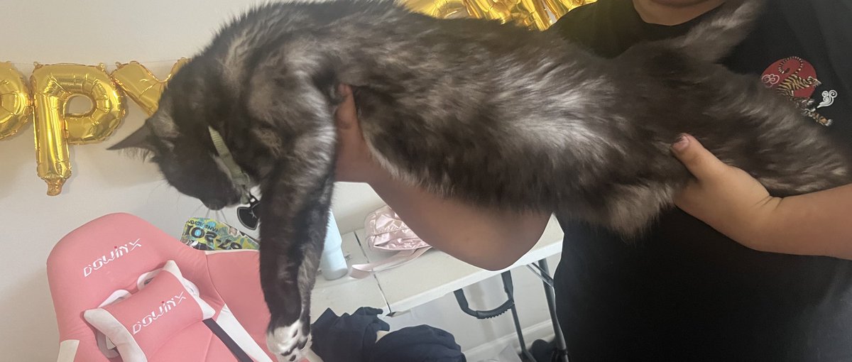 mikrostudio's tweet photo. long boi https://t.co/Drn4yusaDY