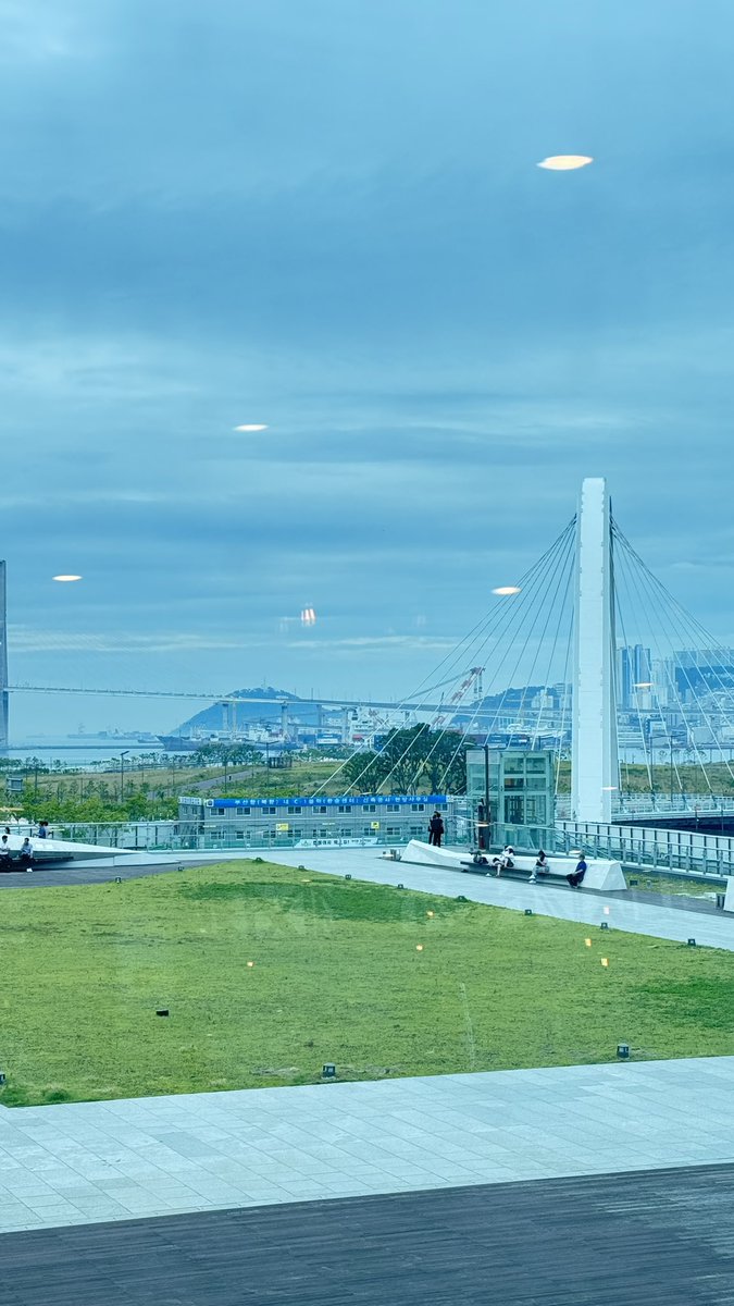 중년들은 살아남기 힘든  엑스의 생태계 ㅠㅠ